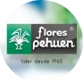 Logo 9